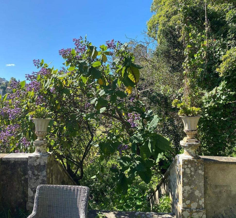 Casa Holstein Quinta De Sao Sebastiao Sintra Hotell Eksteriør bilde