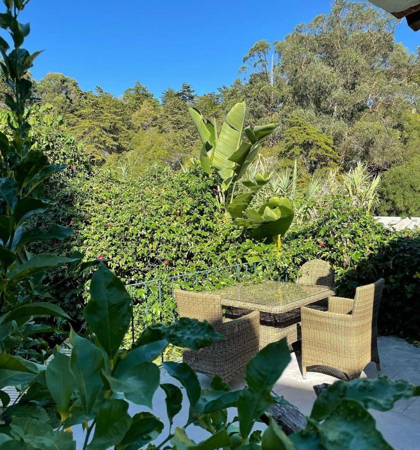 Casa Holstein Quinta De Sao Sebastiao Sintra Hotell Eksteriør bilde