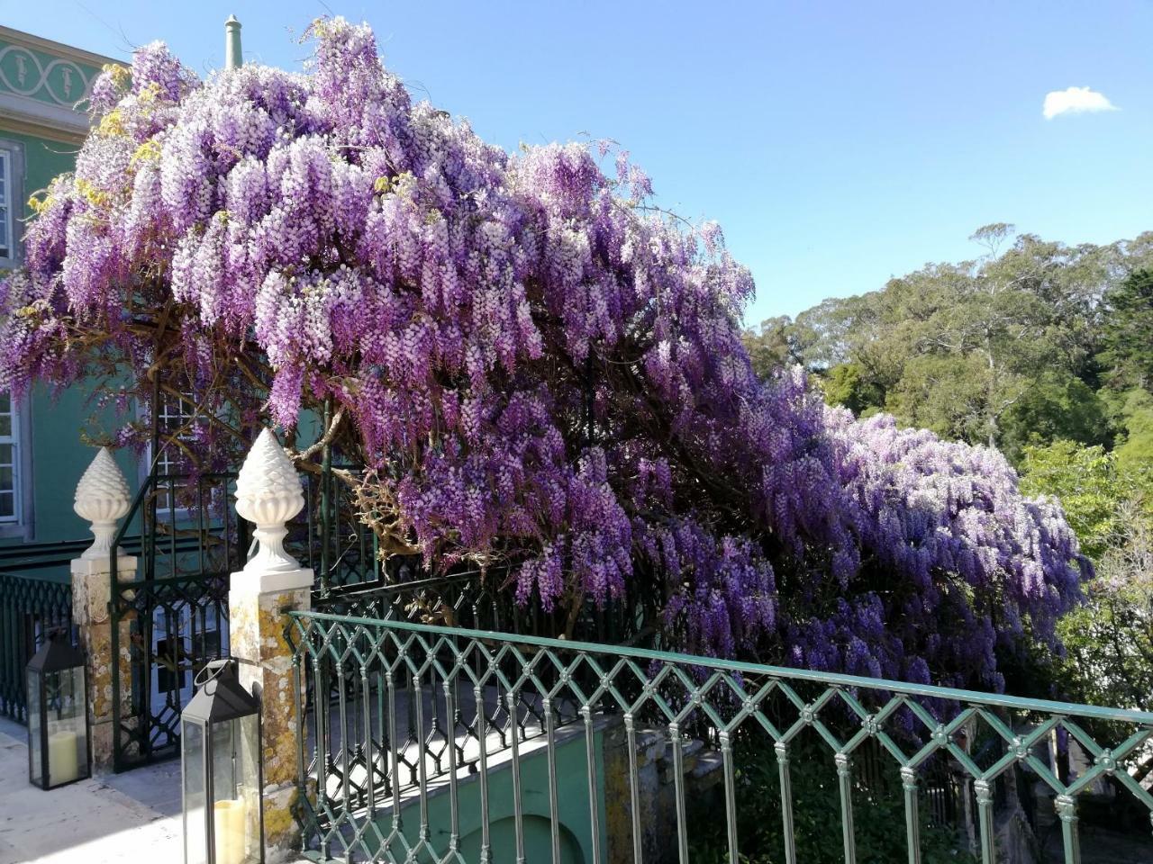 Casa Holstein Quinta De Sao Sebastiao Sintra Hotell Eksteriør bilde