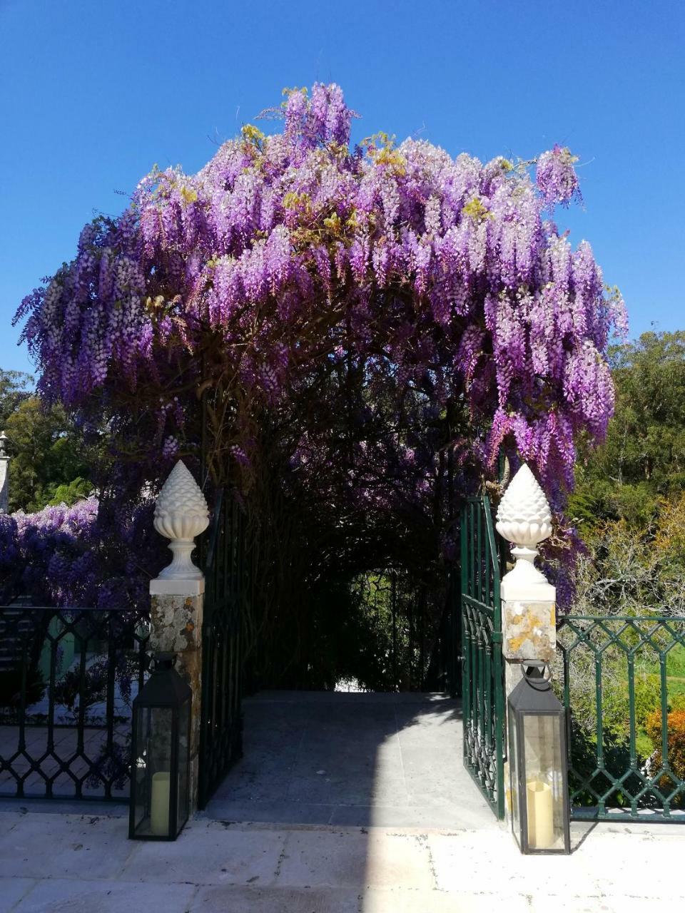Casa Holstein Quinta De Sao Sebastiao Sintra Hotell Eksteriør bilde
